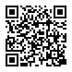 Retro Flash app for IOS